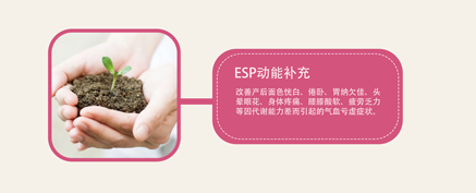 -ESPܲ(ͼ1)